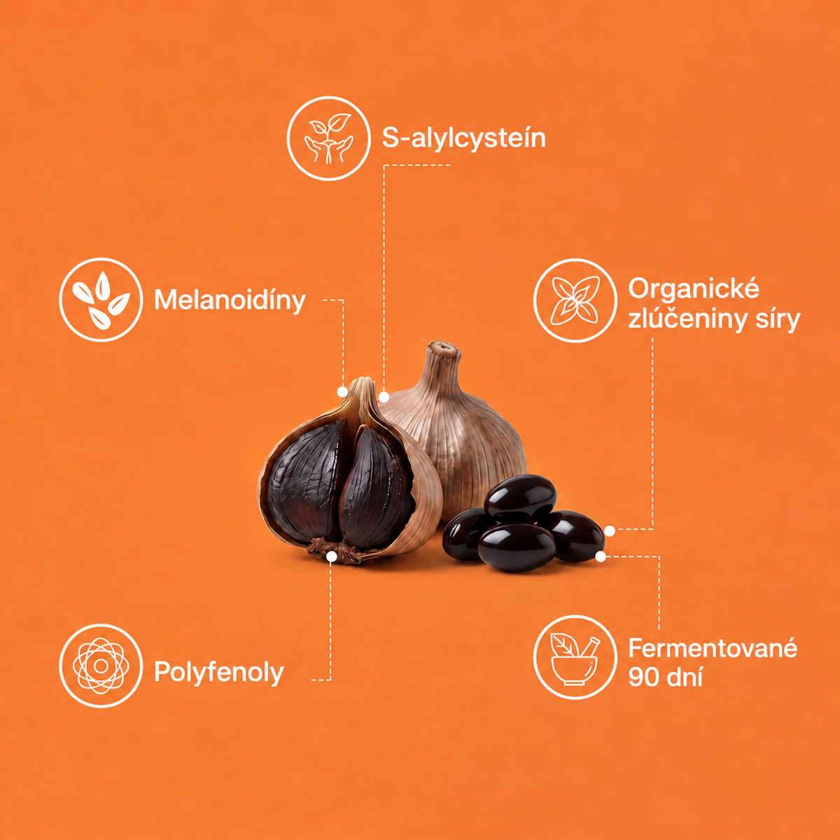 BOTAVYRA: Fermented Black Garlic Restoration Protocol